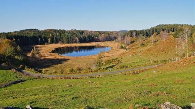 Tourbière de la Pignole (Cantal)