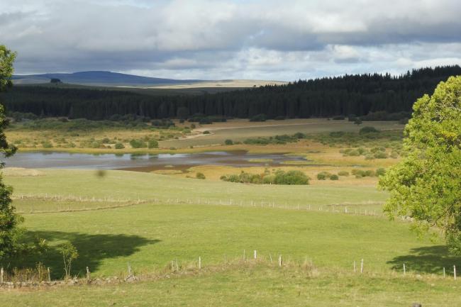 Tourbières de la Gazelle et du Jolan (RNR) (Cantal)