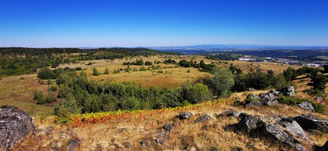Tourbières du Plateau de Chastel sur Murat (cantal)