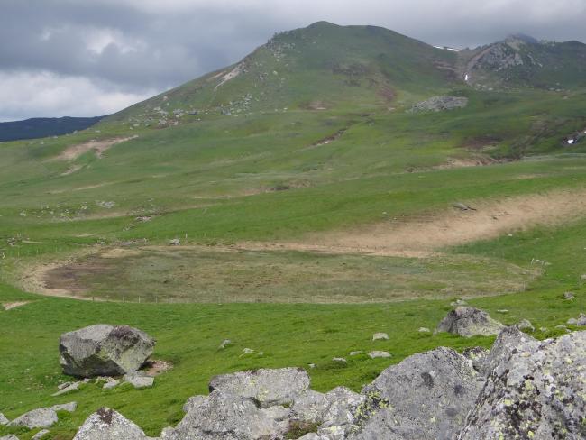 Tourbière de Paillaret RNNCS (Massif des Monts-dore - Puy-de-Dôme)