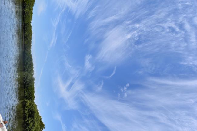 Manglares y cielo