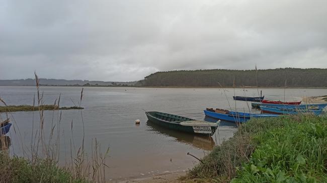 Traditional boats (bateira)