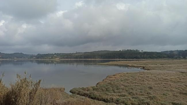 Braço da Barrosa