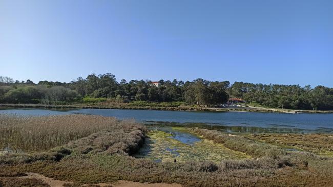 Braço do Bom Sucesso