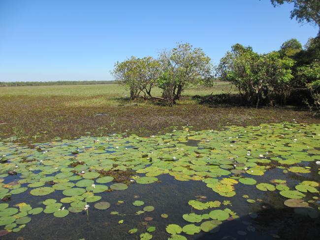 Yellow Water, Kakadu National Park