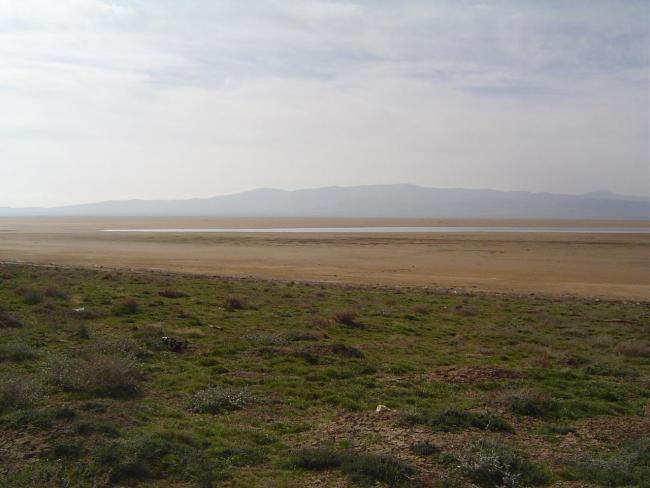 Chott El Beidha