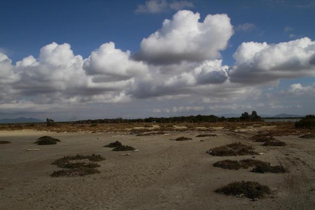 Overview Trappola marsh