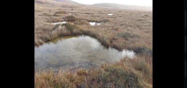 Upland blanket bog with pool system, Lough Barray Bog.