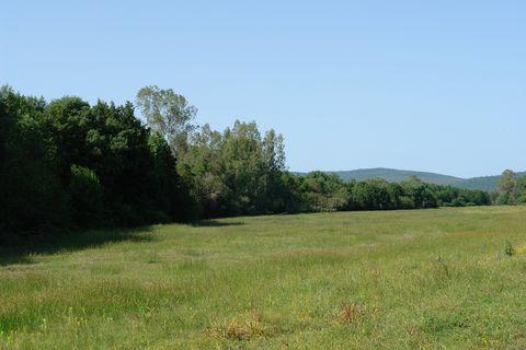 Bourdim 