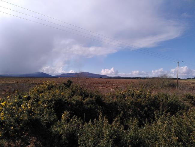 View across to Owenboy Bog