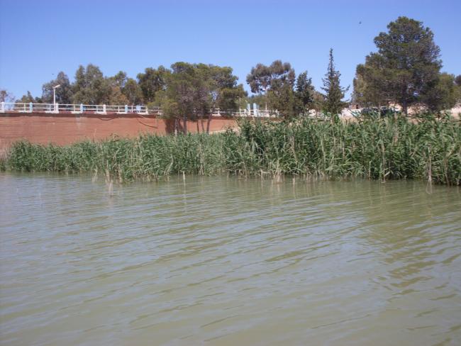 barrage de Boughezoul 