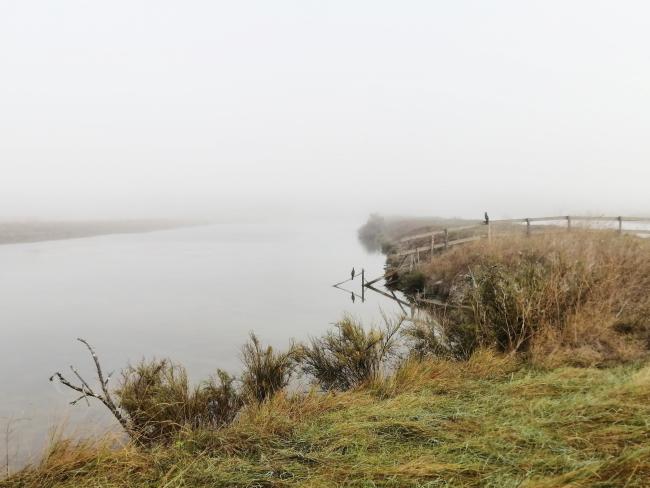 Brume marais Ars