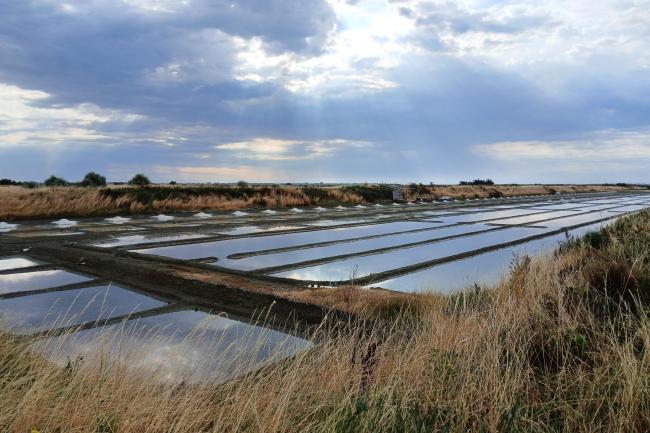 Marais salants