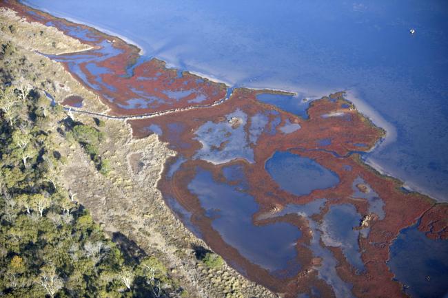 Moulting Lagoon Ramsar site aerial view