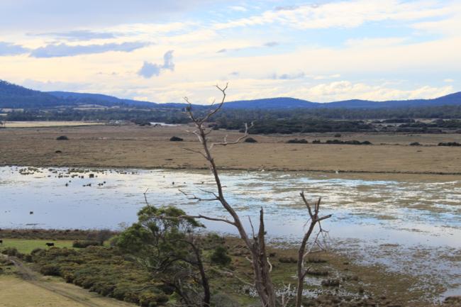 Apsley Marshes Ramsar site 3