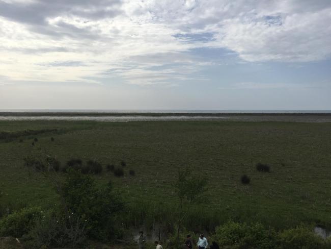 View of Bujagh-Caspian sea