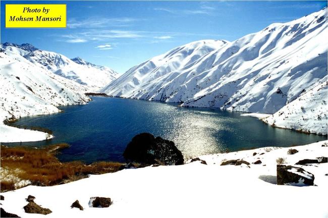 Gahar Wetland in  the winter