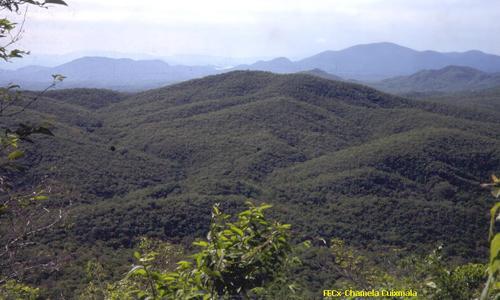 Panorámica del Sitio Ramsar Reserva de la Biosfera Chamela-Cuixmala
