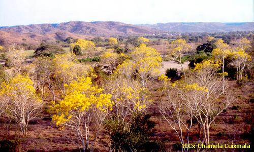 Sitio Ramsar Reserva de la Biosfera Chamela-Cuixmala