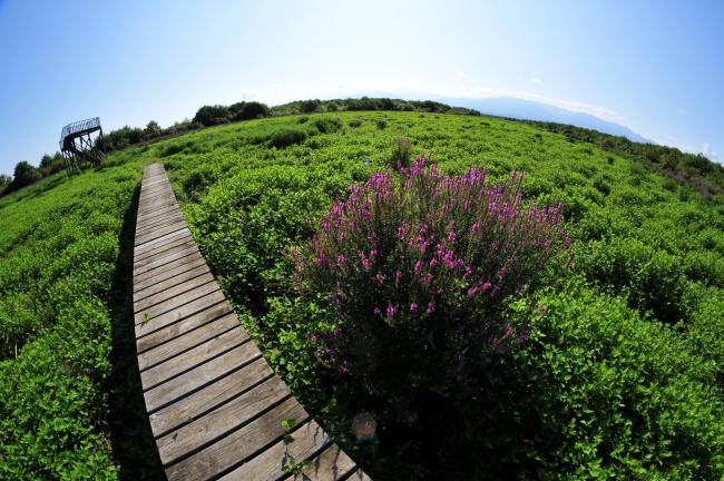 Kobulate managed reserve