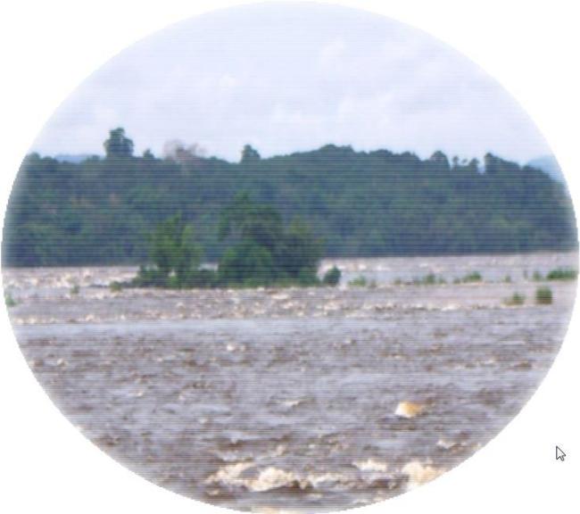 Ile du diable