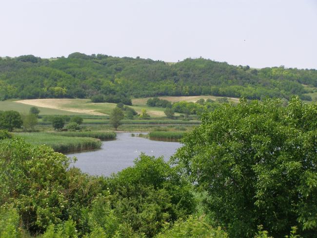 Panorama of the Pacsmag Fishponds
