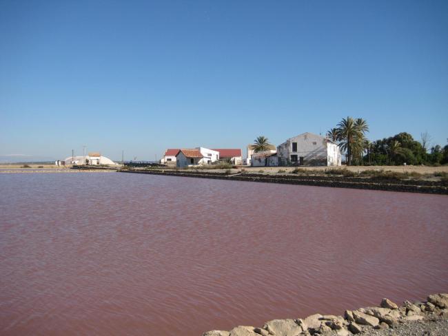 Salinas de Santa Pola. Cristalizador (laguna rosa)