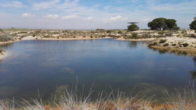 Salinas de Santa Pola. Laguna en la zona dunar del Pinet