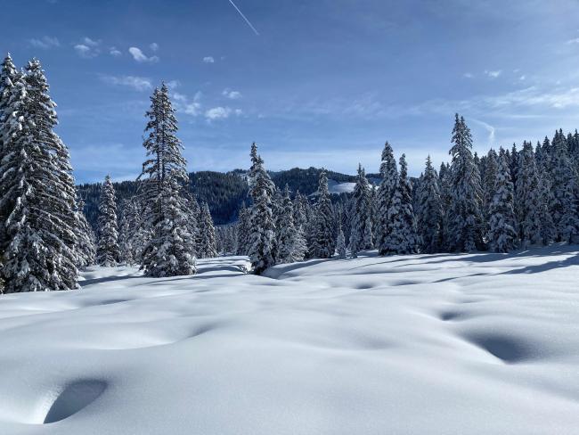 Paysage hivernal
