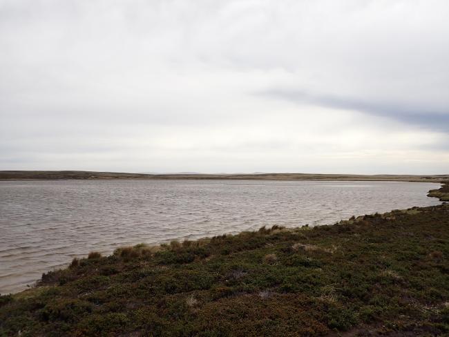 Wetland Type J - Coastal Brackish Lagoon