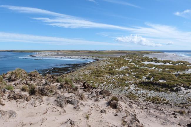 Wetland Type E - sand dunes and sandy shores