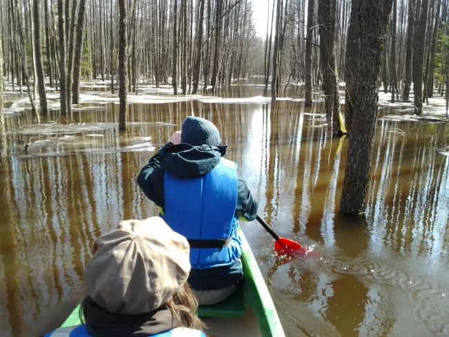 The flood "fifth" season in Soomaa NP. You can canoe in the woods.