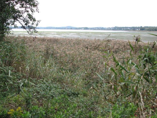 Presterødkilen nature reserve