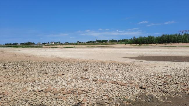 étiage estival sur le fleuve
