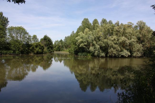 L'Indre à Rivarennes (37).