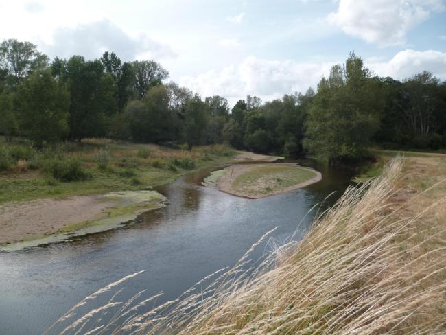L'Indre à Bois Chétif (37).