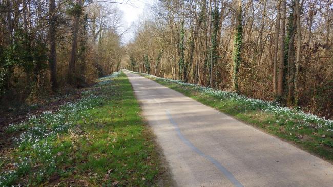 Digues de Bois Chétif au printemps.