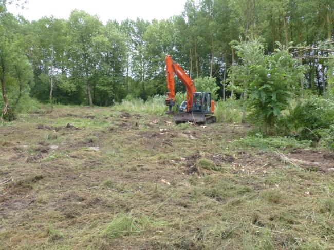 restauration de prairie humide à Rivarennes (37).