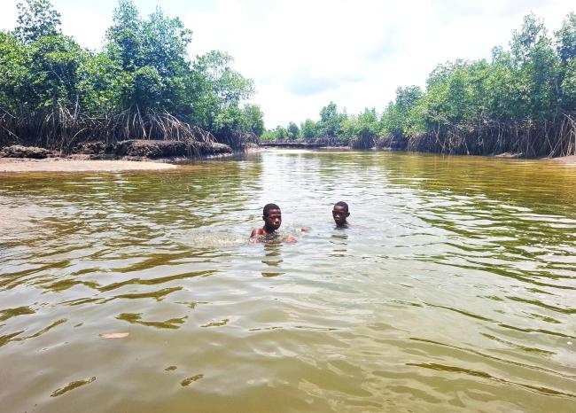 Mangrove forest and locals swimming during low tide
