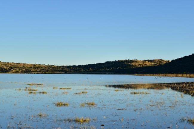 Laguna de Santiaguillo