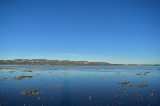 Laguna de Santiaguillo