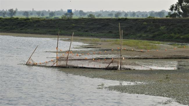 Fishing activity
