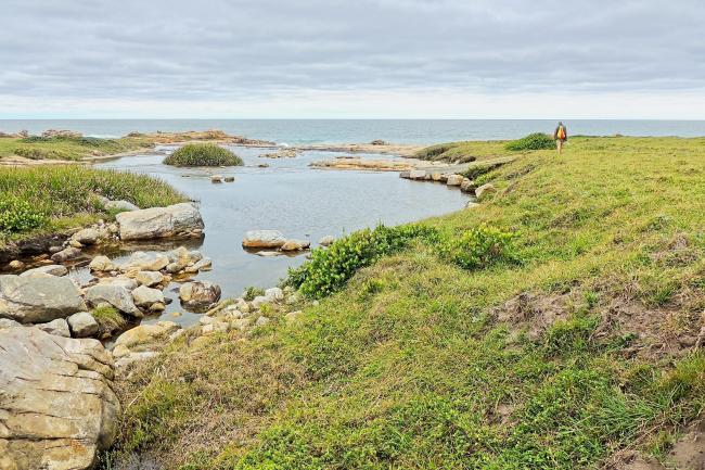 Daza River Mouth