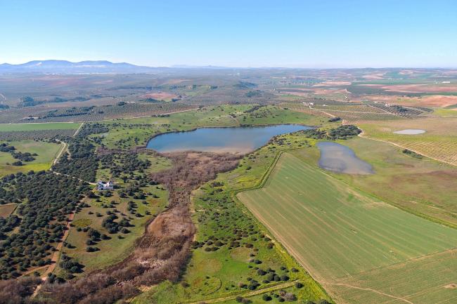 Panorámica de la laguna de Tíscar, en el municipio de Puente Genil (Córdoba)