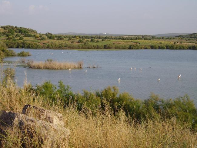 Detalle de la laguna de Tíscar, en el municipio de Puente Genil (Córdoba)
