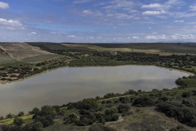 Panorámica de la Laguna de Tíscar, en el municipio de Puente Genil (Córdoba), con niveles altos de inundación tras las lluvias primaverales de 2024