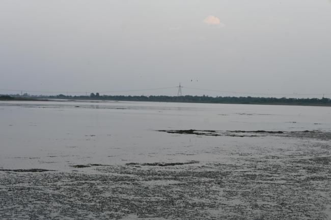 Water Spread area in Kopra Jalashay in Kopra Jalashay