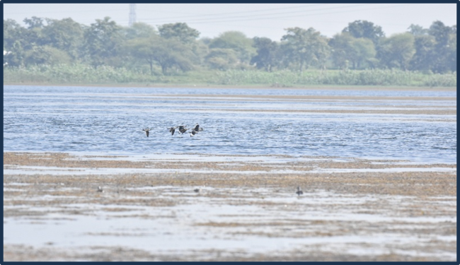 Water Spread area in Kopra Jalashay in Kopra Jalashay