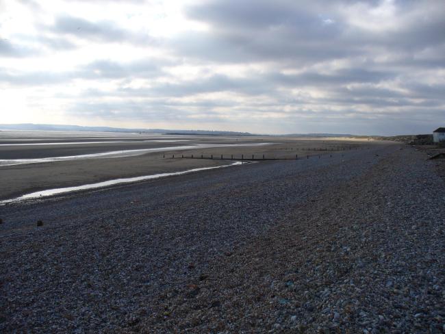 Dungeness and Rye Bay Ramsar Site: Rye Bay intertidal sand and mud