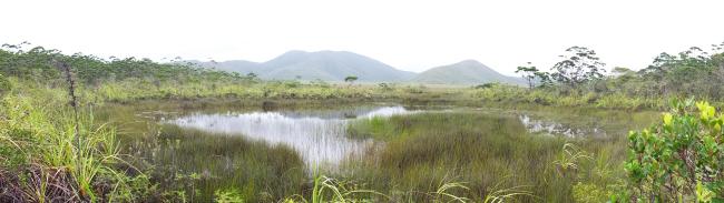 Rivière des lacs, entre Netcha et le lac de yaté